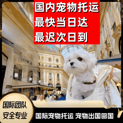 宁德市　到澳大利亚（澳洲）宠物入境规定和要求